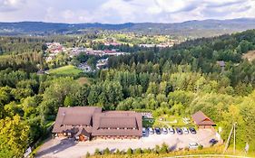 Czarna Owca