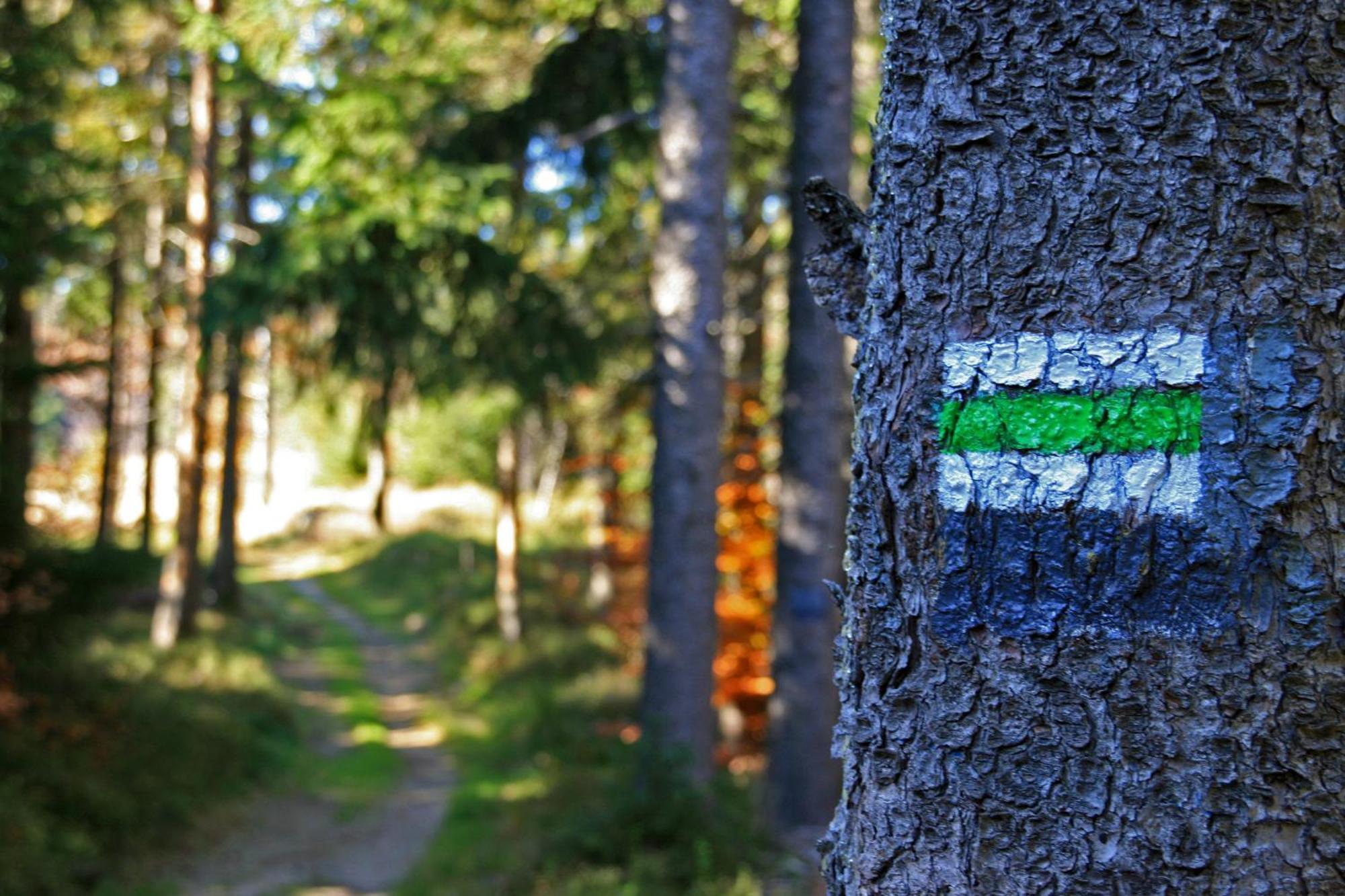 Czarna Owca Bed and Breakfast Istebna Buitenkant foto