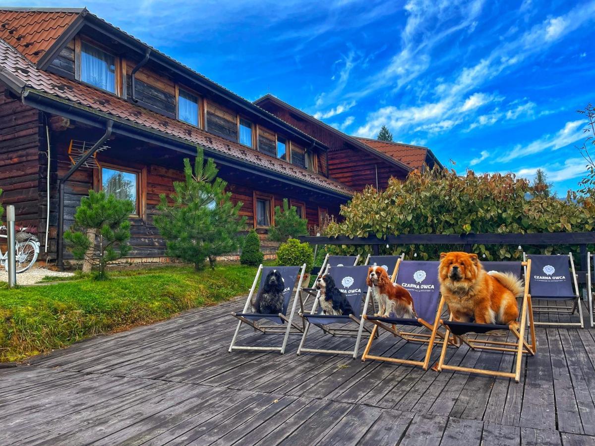Czarna Owca Bed and Breakfast Istebna Buitenkant foto