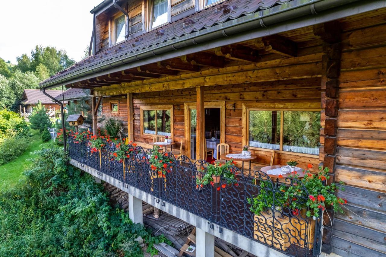 Czarna Owca Bed and Breakfast Istebna Buitenkant foto