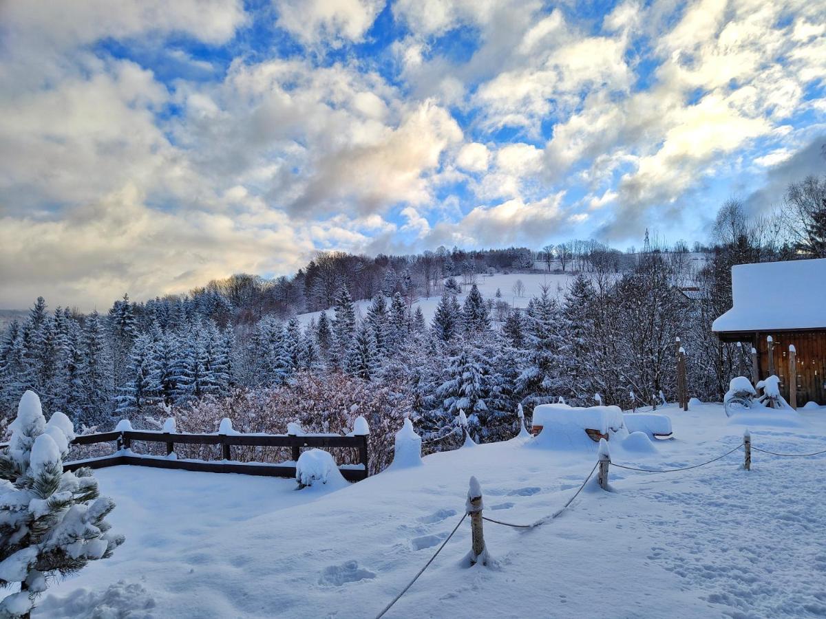 Czarna Owca Bed and Breakfast Istebna Buitenkant foto