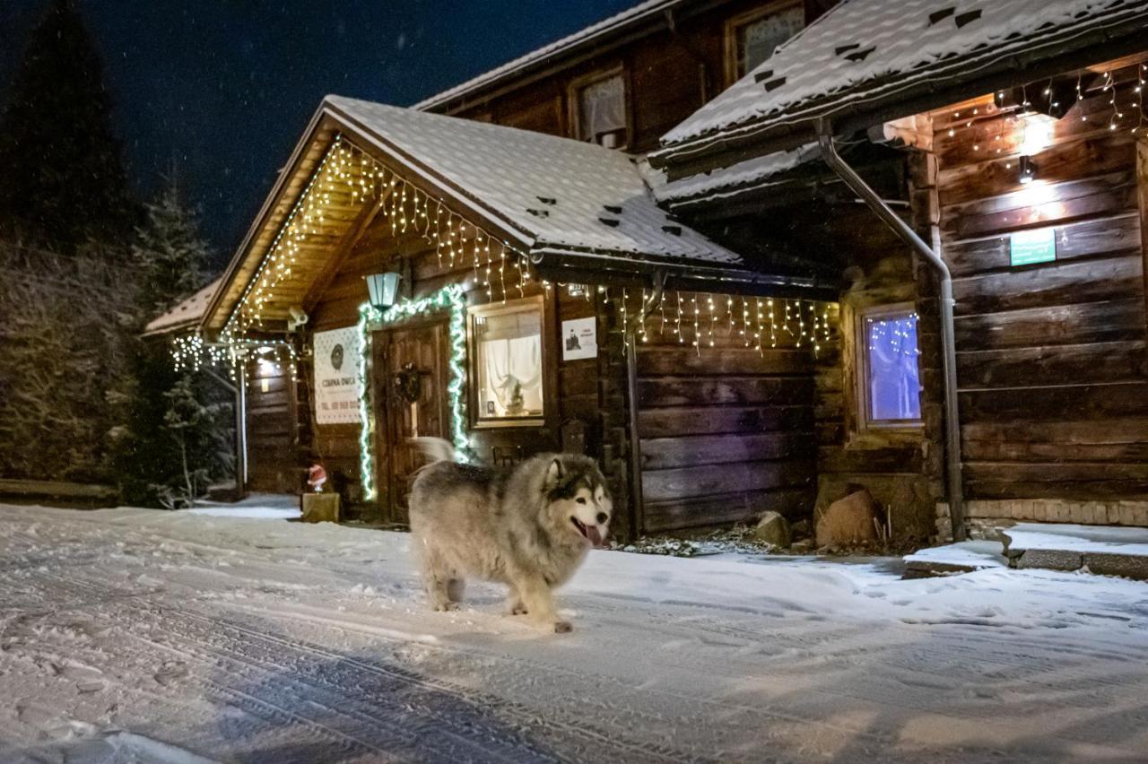 Czarna Owca Bed and Breakfast Istebna Buitenkant foto