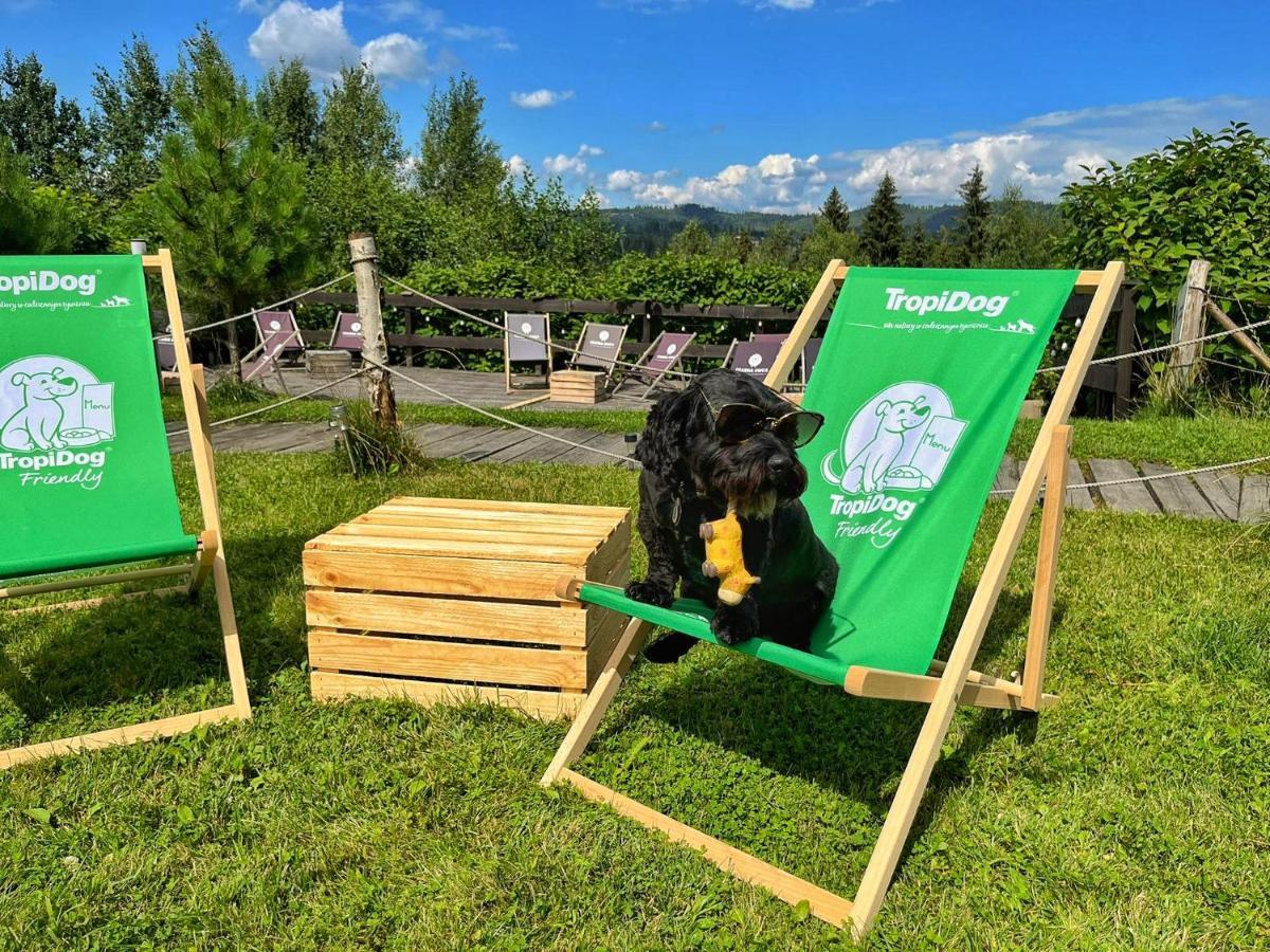 Czarna Owca Bed and Breakfast Istebna Buitenkant foto