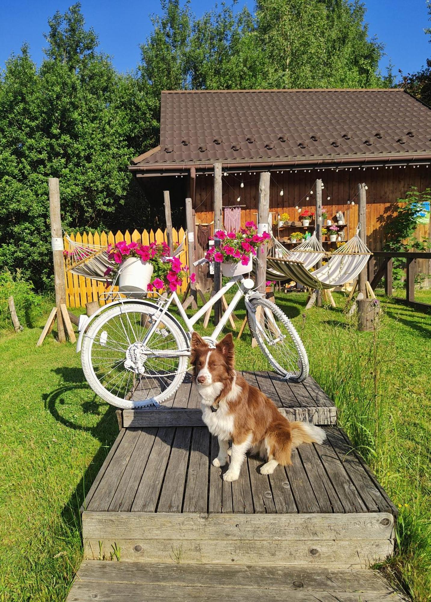 Czarna Owca Bed and Breakfast Istebna Buitenkant foto