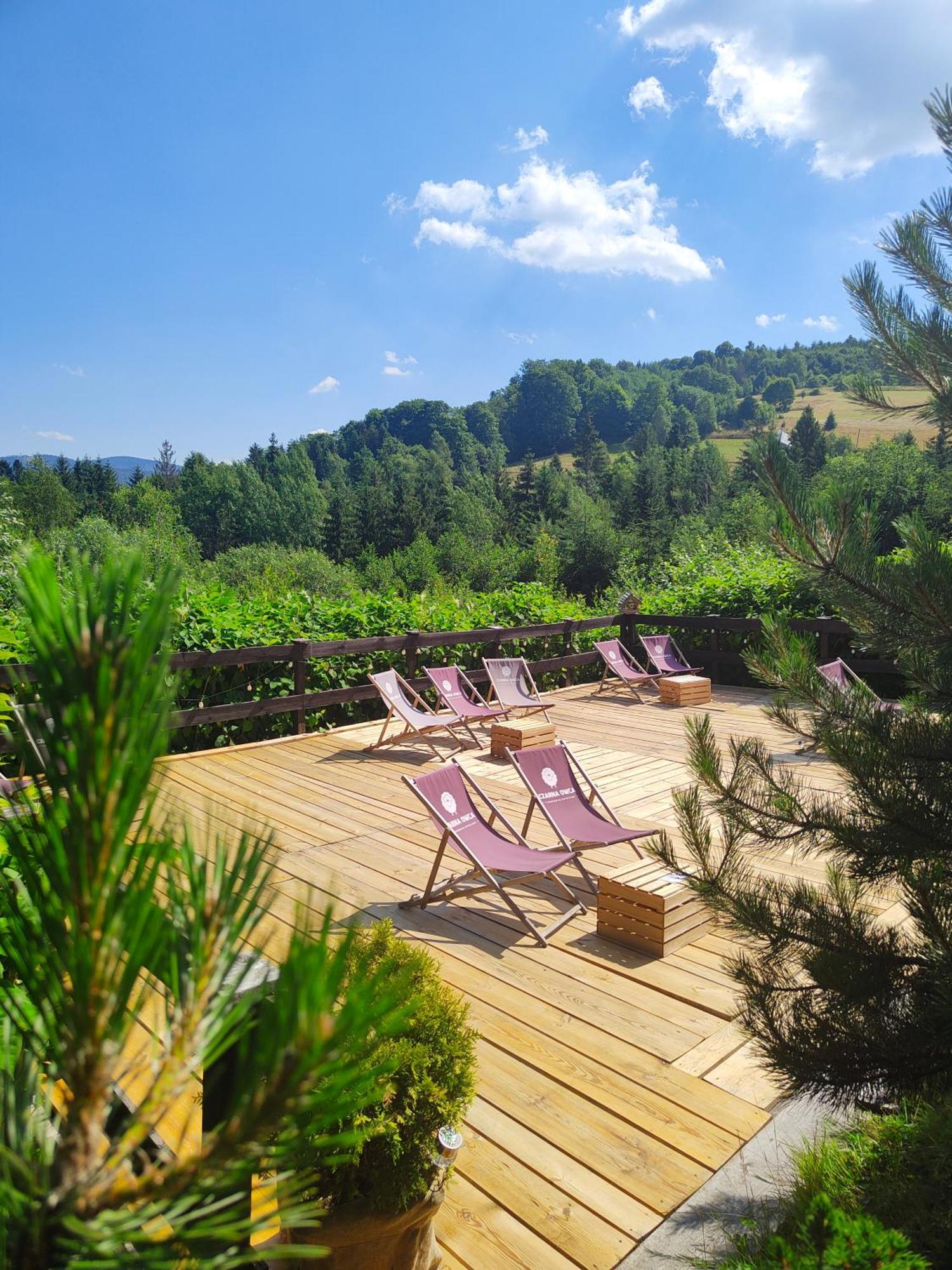 Czarna Owca Bed and Breakfast Istebna Buitenkant foto